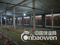 最轻质安全的养鸡取暖锅炉图2