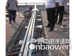 湖南长沙公路桥梁伸缩缝现货供应|tst弹塑体无缝式伸缩装置图2
