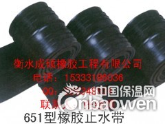 中埋式橡胶止水带 密封紧固防漏水-衡水成硕橡胶总供应图2
