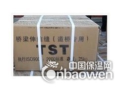 厂家直销优质桥梁伸缩缝|SSFB梳齿形伸缩缝|TST填料图3