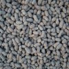 陶粒专业生产品质保证