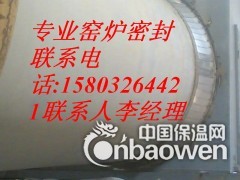鱼鳞片密封图3