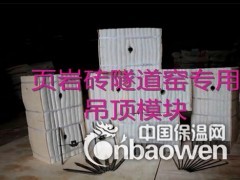 烧砖隧道窑保温砖陶瓷纤维模块 耐火棉 吊顶棉耐温1200度图3