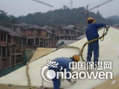 聚氨酯保温工程施工楼顶外墙冷库设备罐体粮仓粮库保温图3