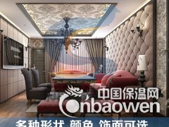 【新声建材】会议室，电影院，展厅，展馆隔音材料 隔音棉图3