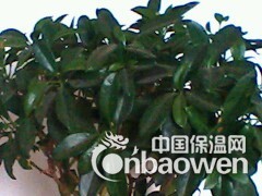 济南陶粒价格,济南陶粒供应13505546206图3