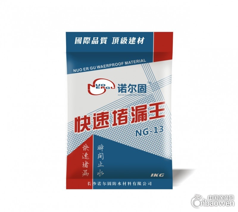 NG-15 快速堵漏王
