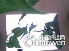 PET镜面反光片/PET反光片/反光片图3