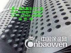 南通】屋顶排水板&淮安塑料夹层板%南京阻根层图2