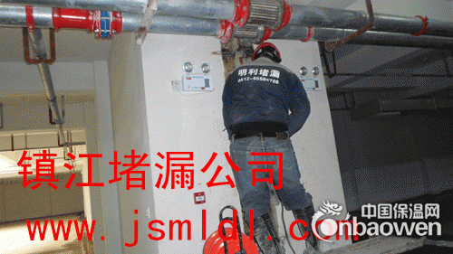 伸缩缝堵漏公司