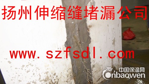 沉降缝堵漏公司