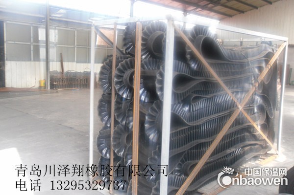 大倾角波纹带 大倾角波纹挡边带