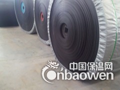 大倾角波纹带 大倾角波纹挡边带图3