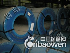 宝钢黄石彩涂板图1