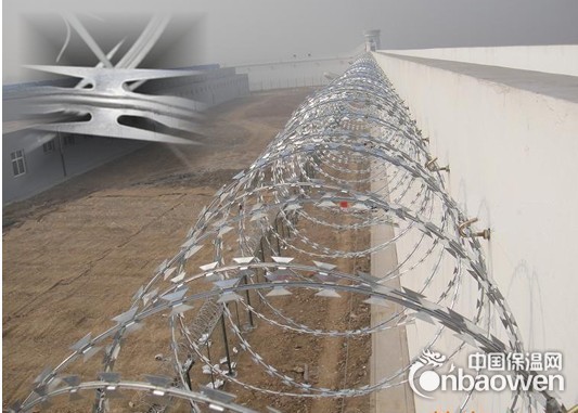 BTO-22不锈钢刀片刺网