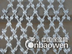 BTO-22不锈钢刀片刺网图2