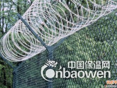 西昌刀片刺网批发|BTO-22监狱刀片刺网【图】图2