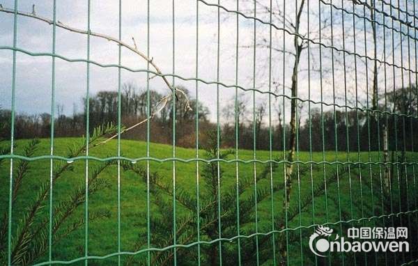 铁丝围栏网围墙网厂家