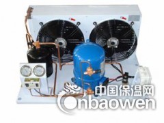 全封闭风冷冷凝机组图2