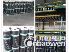 弹性体（SBS）改性沥青防水卷材图2