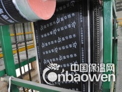 弹性体（SBS）改性沥青防水卷材图3