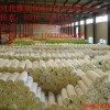 保温玻璃棉  彩钢用玻璃棉  玻璃幕墙用玻璃棉