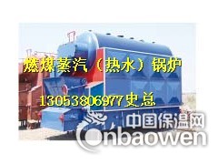阳泉蒸汽锅炉图3