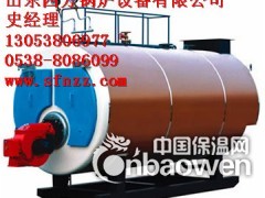 齐齐哈尔燃气锅炉图2