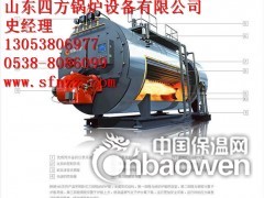 齐齐哈尔燃气锅炉图3