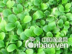 厂家直销大量优质园艺珍珠岩14-20目 60x108cm图2