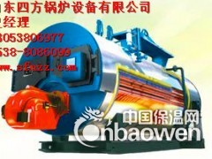 供应石家庄10吨燃气锅炉图2
