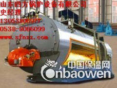 供应石家庄10吨燃气锅炉图3