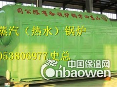 供应北京大中型燃煤锅炉图2