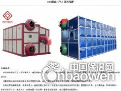 乌兰察布燃气蒸汽锅炉图3