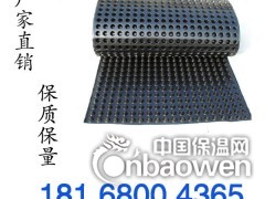 厂家直销优质排水板价格江苏规格齐全产品图片图2