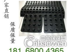 厂家直销优质排水板价格江苏规格齐全产品图片图3