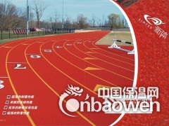 厂家直销江西.抚州.塑胶跑道.硅PU球场图3