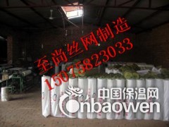 厂家生产外墙玻纤网格布图3