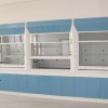 贵州省六盘水市实验室设备批发/实验室家具/钢木通风柜