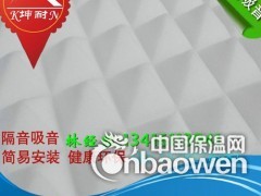 禹王台金字塔吸音海绵 琴房吸音材料图2
