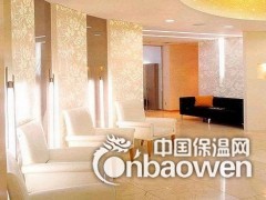 合肥博尔卡墙艺漆加盟代理 投资小盈利快图3