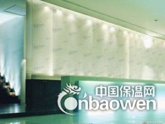 合肥博尔卡墙艺漆加盟代理 市场前景广阔图3