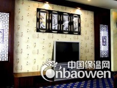 合肥博尔卡墙艺漆加盟代理 圆您人生创业梦图2