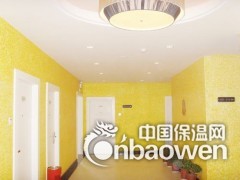 合肥博尔卡墙艺漆加盟代理 圆您人生创业梦图3