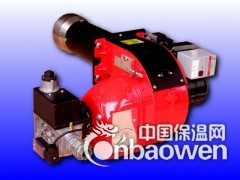VULCAN 燃烧器图2