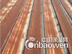 供应钢结构建筑重防腐涂料图2
