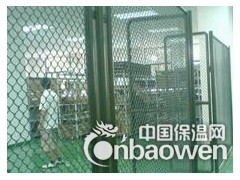 楼房护栏网 水库护栏网 隔离栅防护网图1