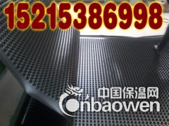 供应张家口绿化排水板，张家口车库绿化蓄排水板图2