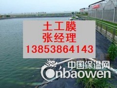 厂价供应优质复合土工膜 土工布土工膜 防渗土工膜图2