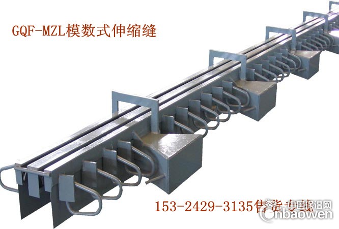 柳州MZL160型伸缩缝